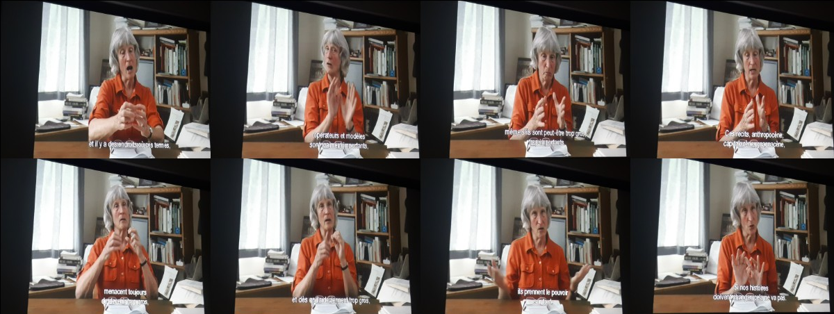 Donna Haraway : Story telling for earthly survival
